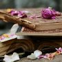 读者「临安旧书」的圆形头像，暖色灯光下的一摞旧书